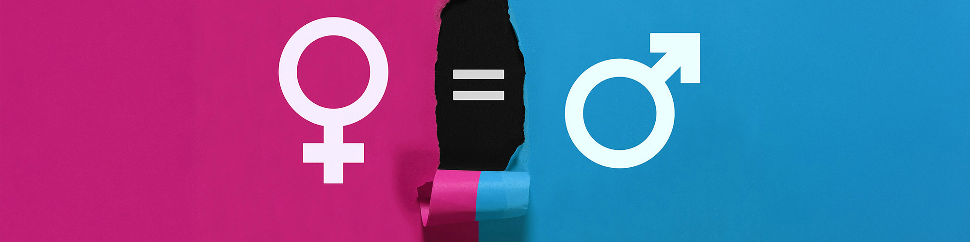 Gender,Equality,And,Gender,Parity,Concept,With,White,Male,And Sidagri Crop | Parità di genere